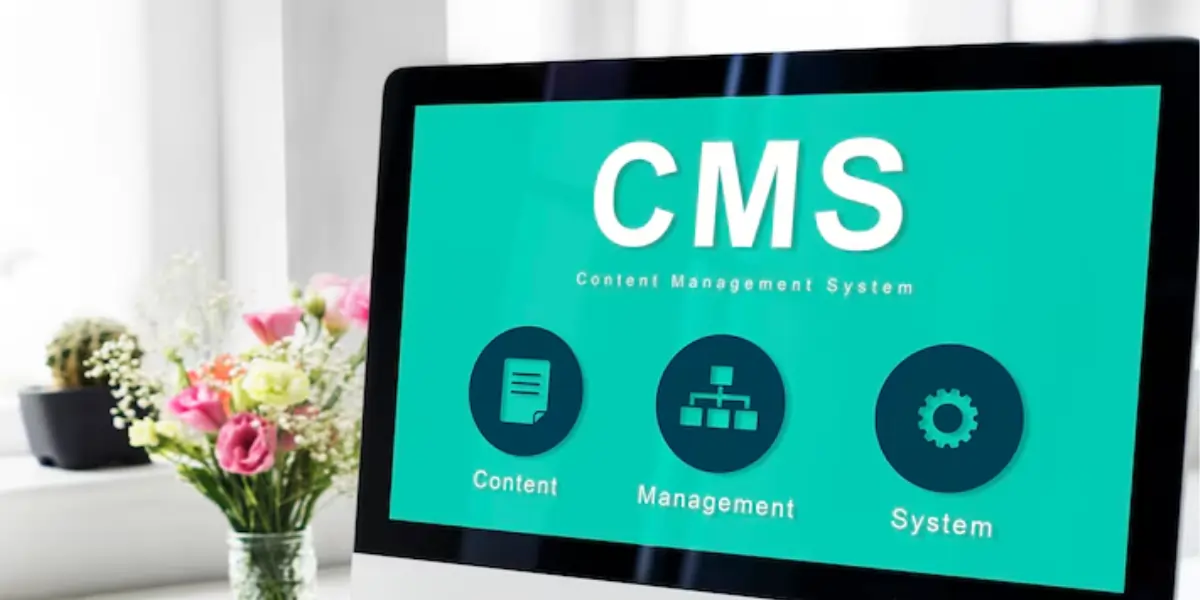 cms.webp